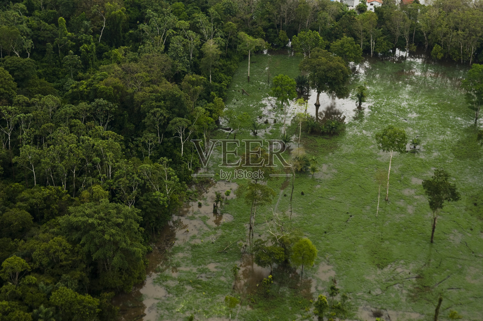亚马逊河的鸟瞰图照片摄影图片