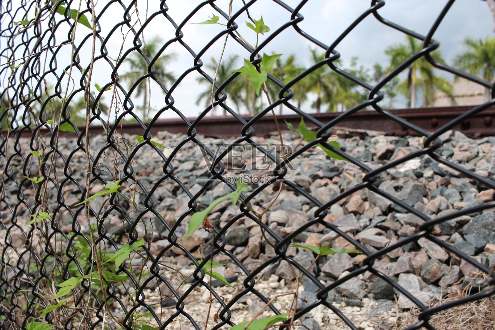 阴天里的黑色铁丝网照片摄影图片