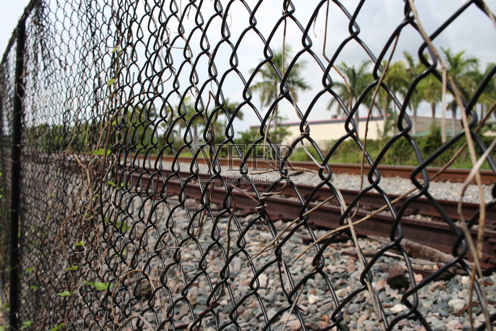 阴天里的黑色铁丝网照片摄影图片