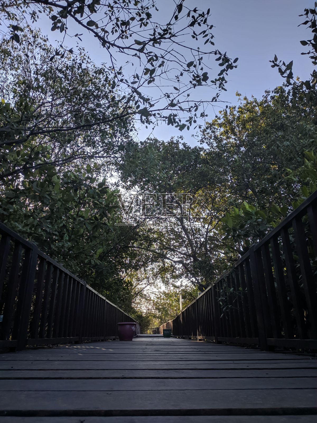 照顾好我,人类照片摄影图片