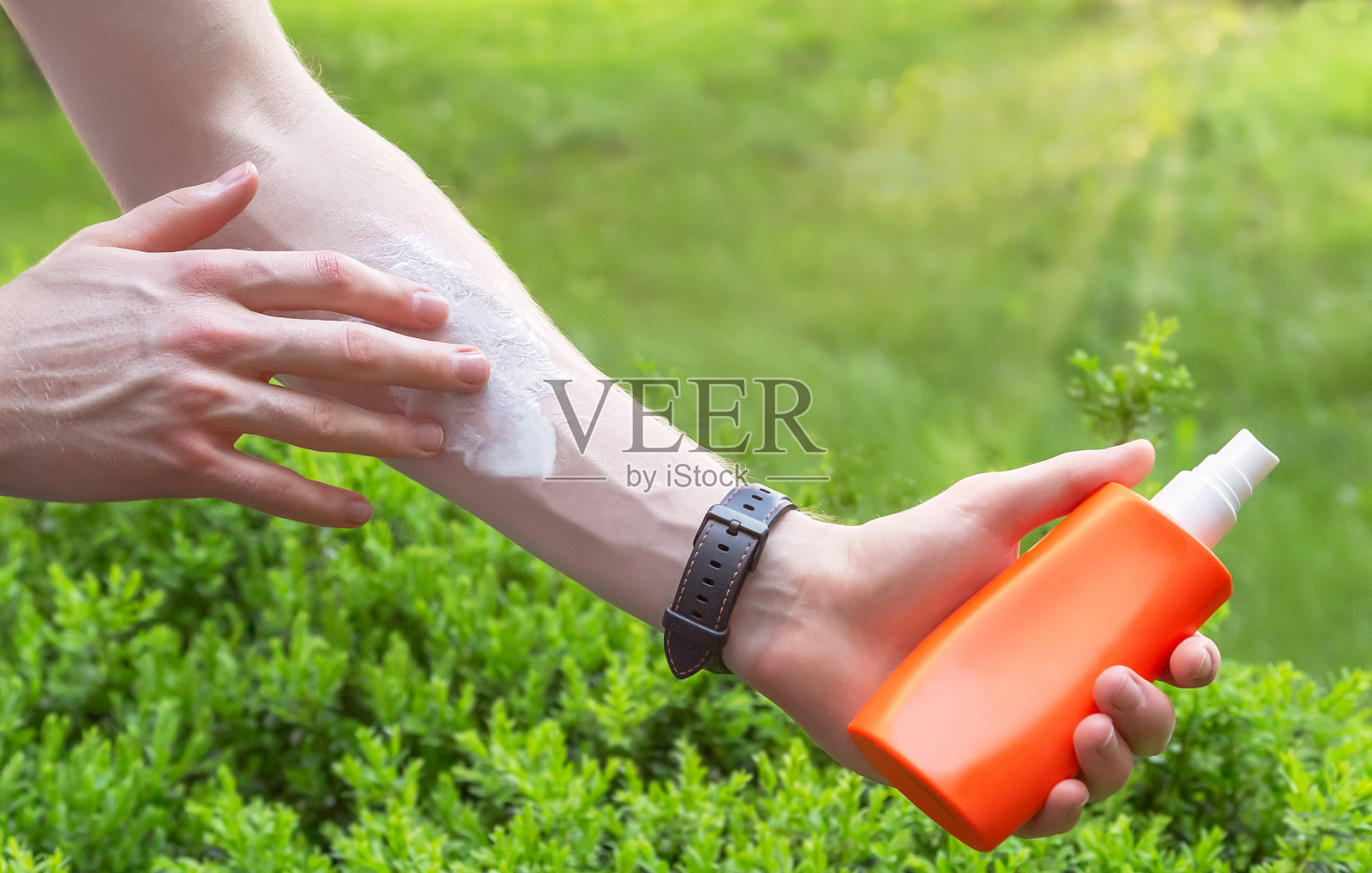 白种人的手从一个塑料容器涂抹防晒霜。照片摄影图片