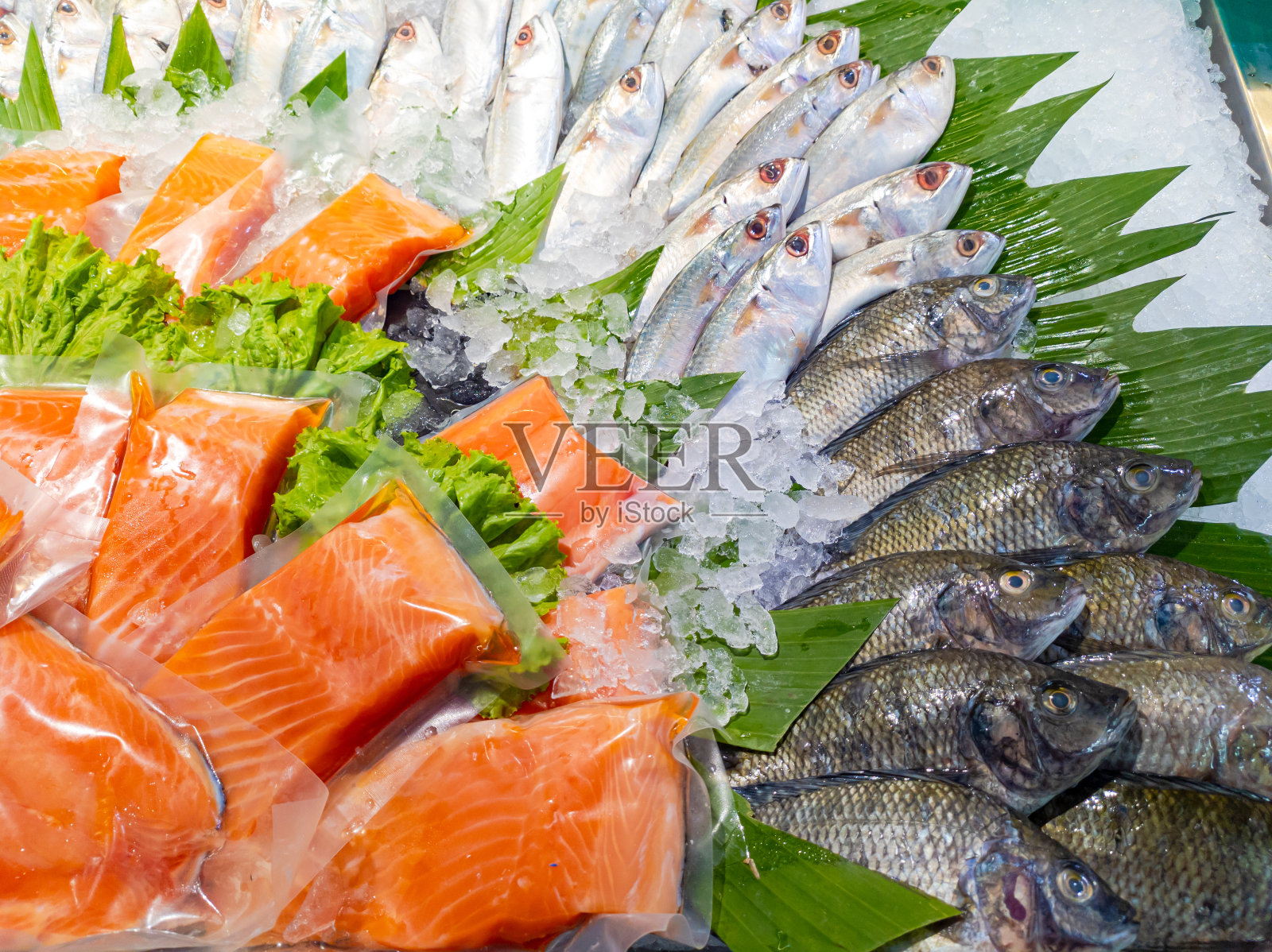 塑胶包装的新鲜鲑鱼片,供超级市场或海鲜市场出售。照片摄影图片