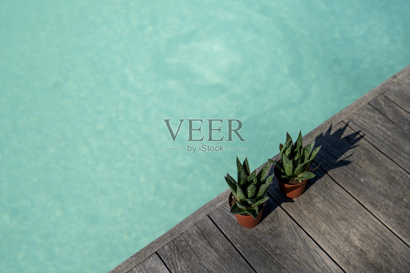 绿色和蓝色照片摄影图片