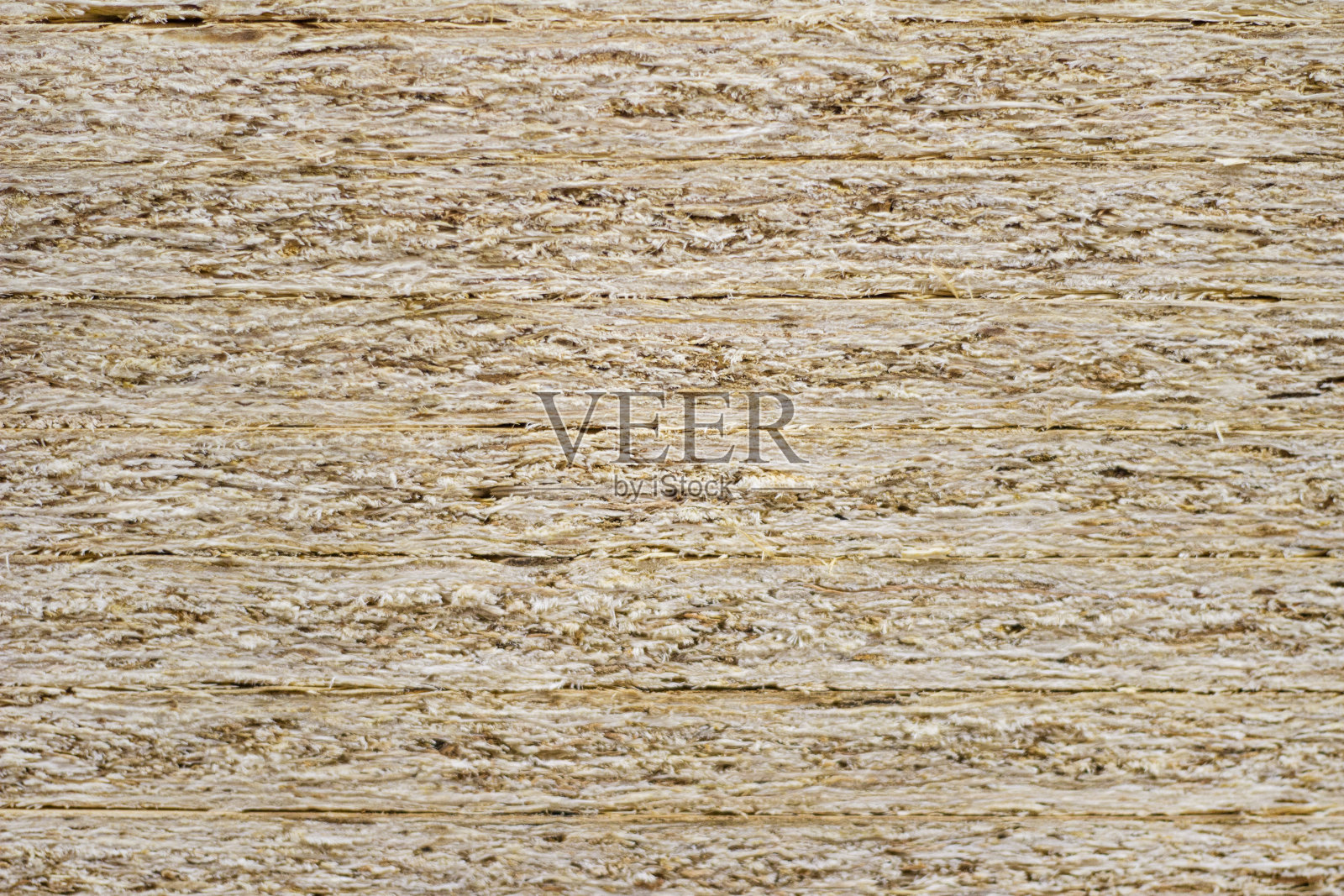 光木制背景。木头。锯树。照片摄影图片