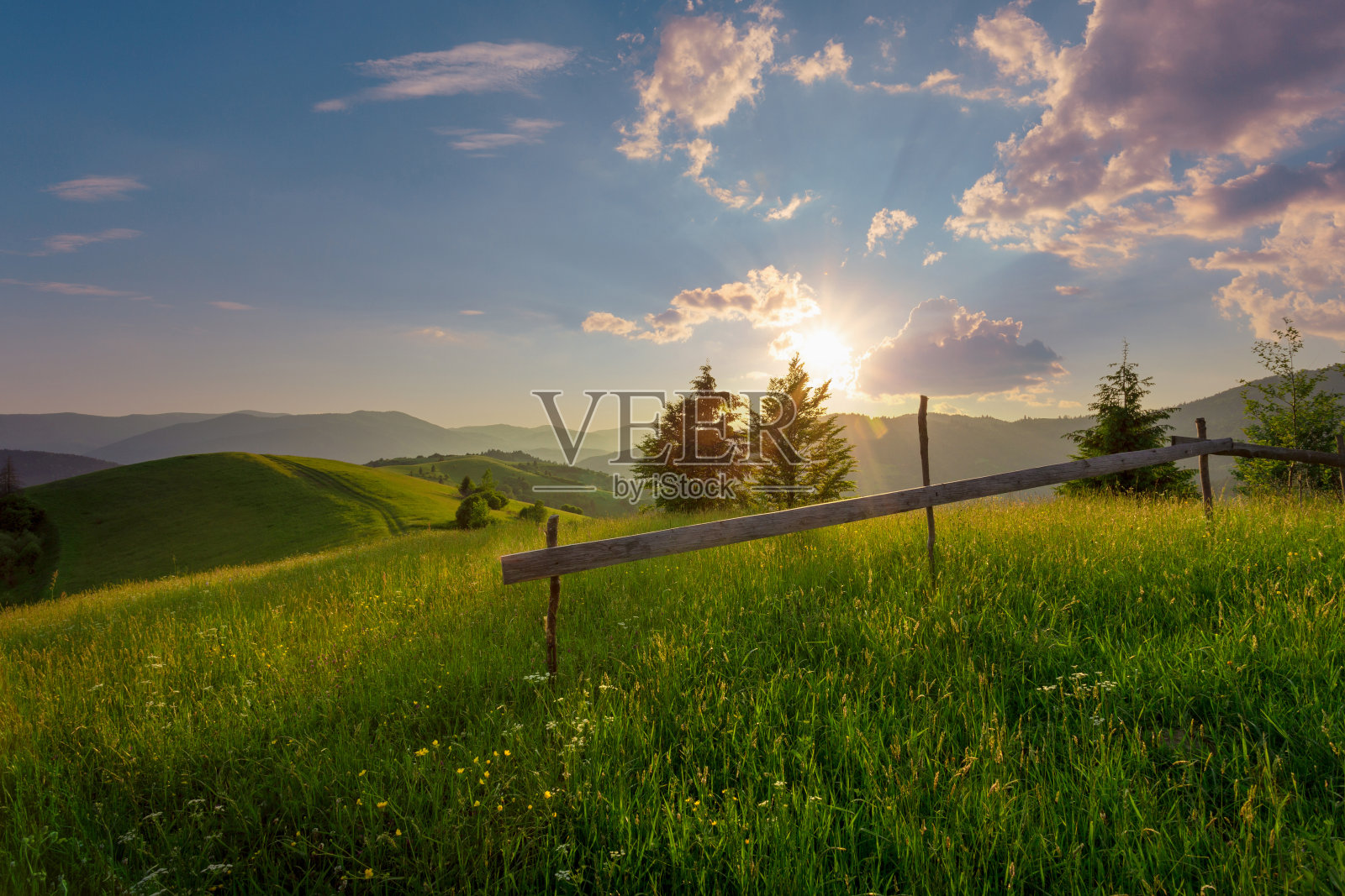一个田园诗般的田园景观与高草山丘陵在夕阳下。美丽的夏天的风景。喀尔巴阡山脉。乌克兰。照片摄影图片