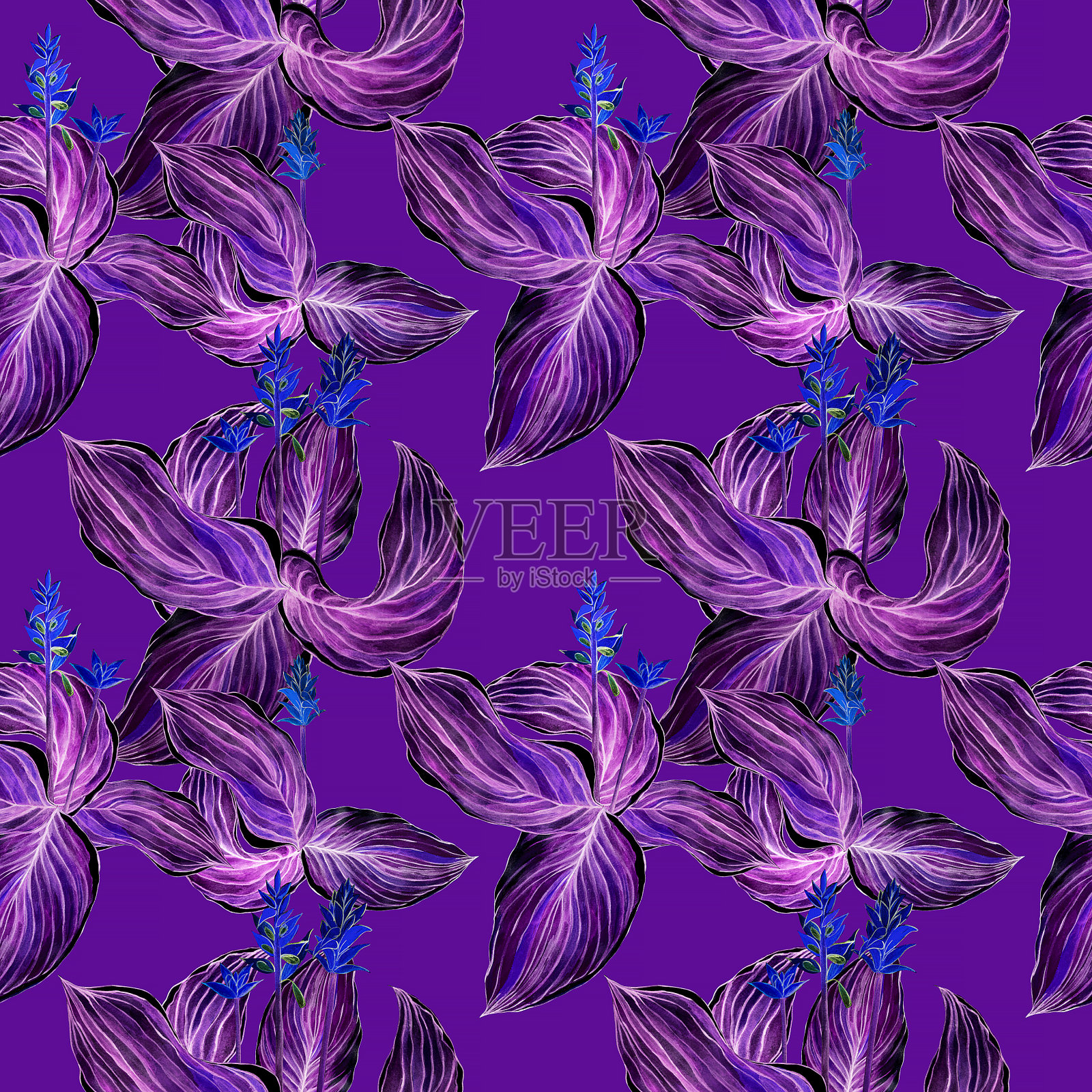 鲜艳的玉簪花热带图案。植物装饰插图孤立在紫色的背景。灌木、叶子、茎、花瓣都是用画笔手绘的插画图片素材