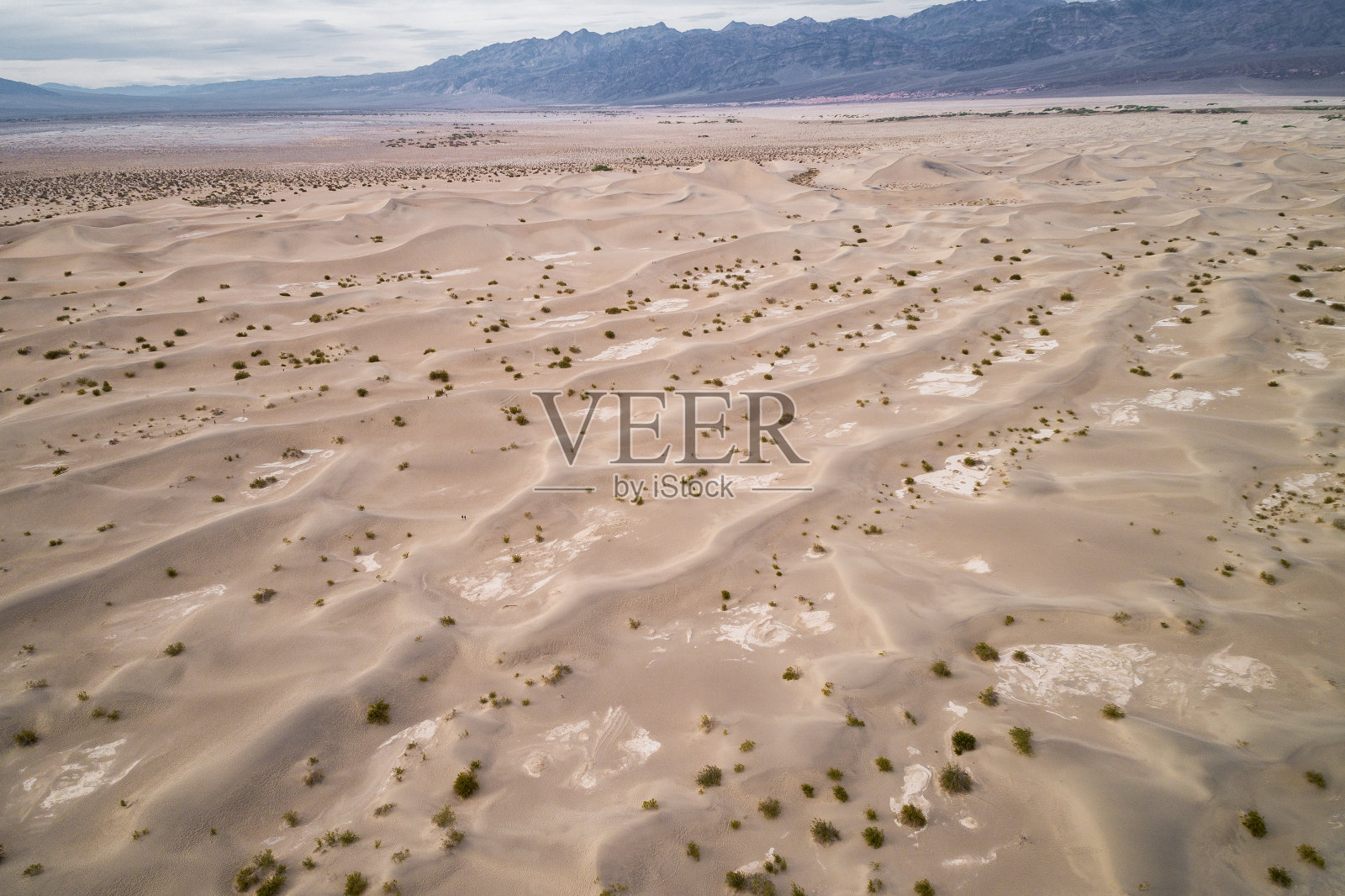 死亡谷的牧豆树平原沙丘照片摄影图片