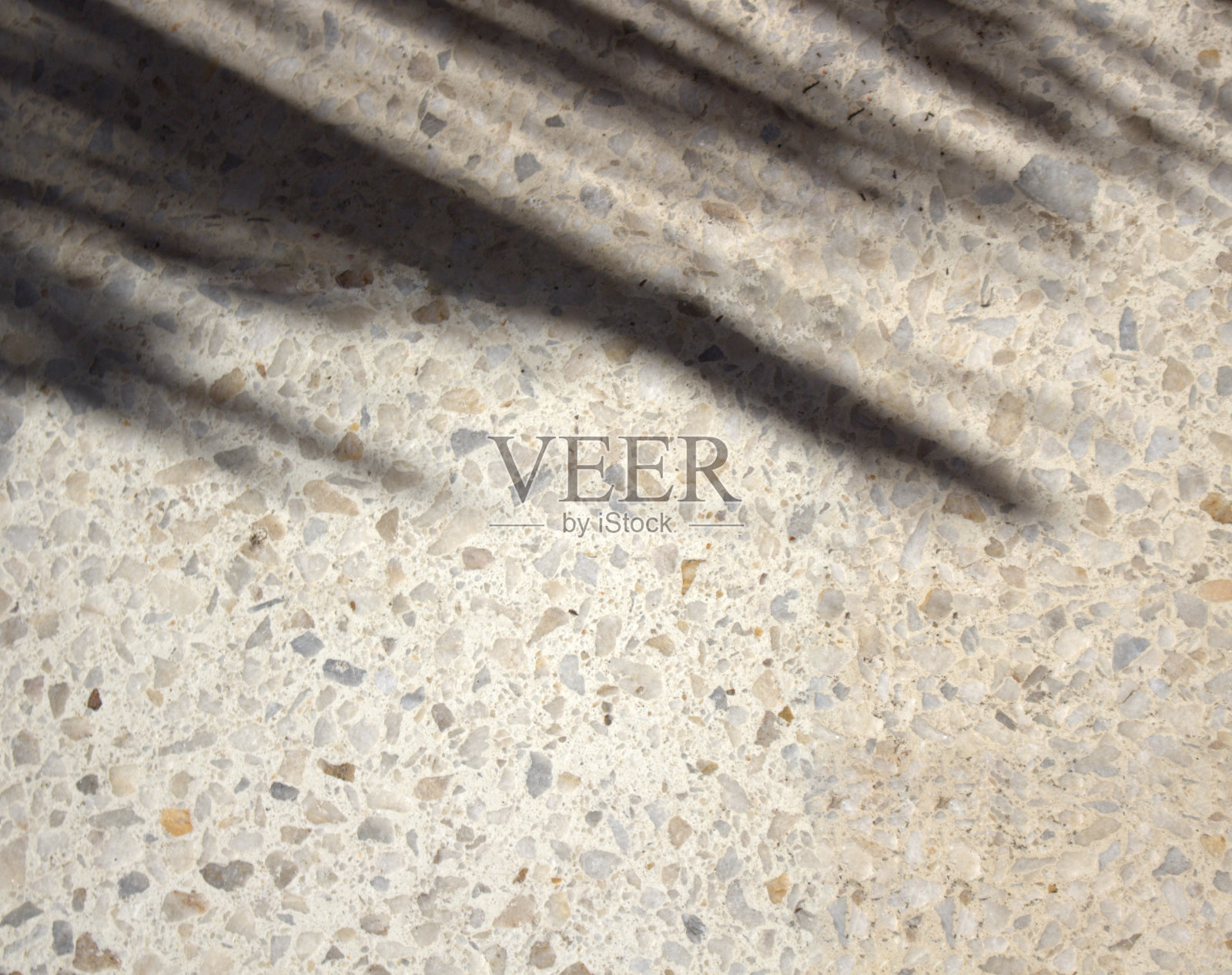 白色的墙壁或桌子上云杉树枝的影子。热带植物在明亮阳光下的黑色剪影。暑假的背景。空副本空间。光叠加。照片摄影图片