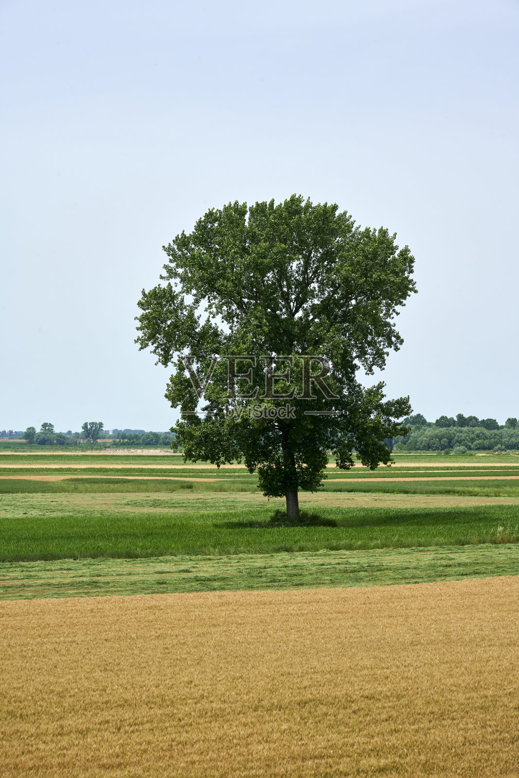 泛滥平原照片摄影图片