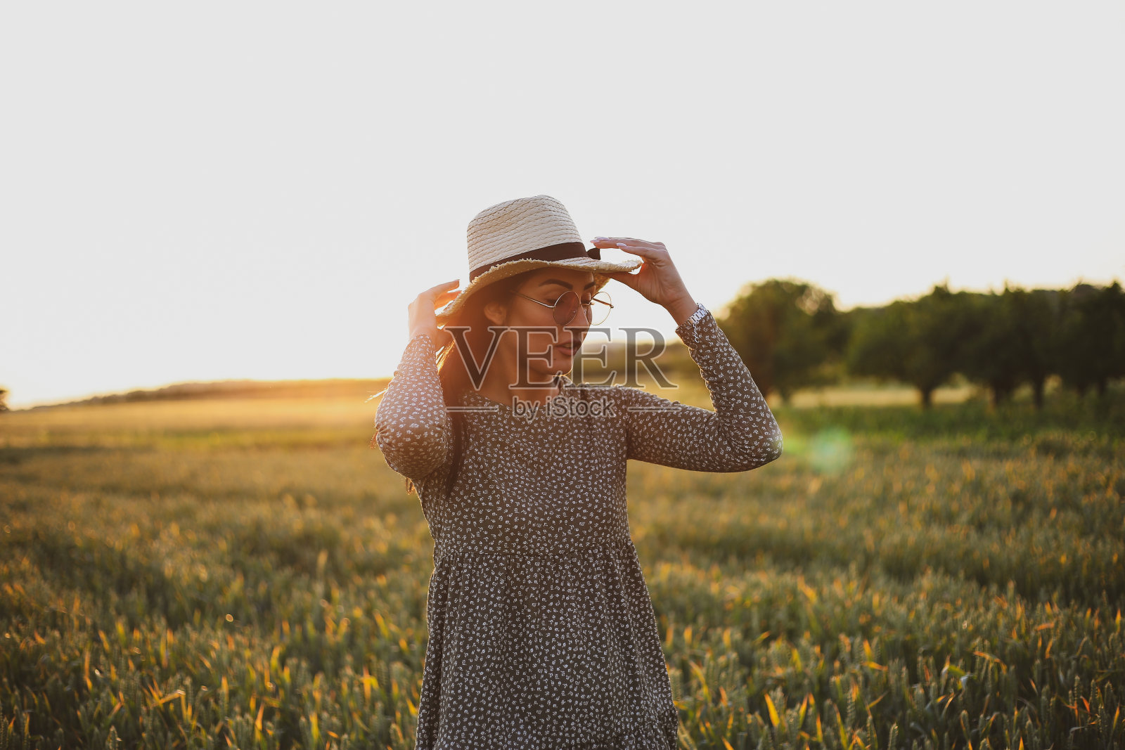 女人在麦田在日落股票照片照片摄影图片