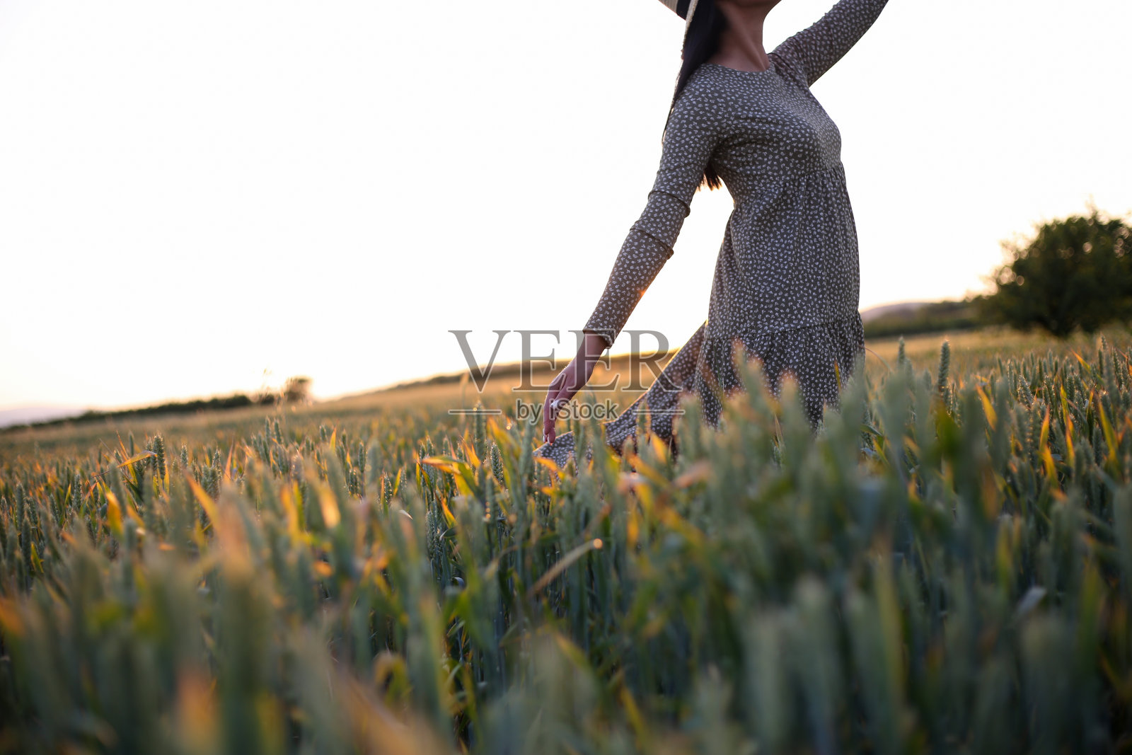 女人在麦田在日落股票照片照片摄影图片