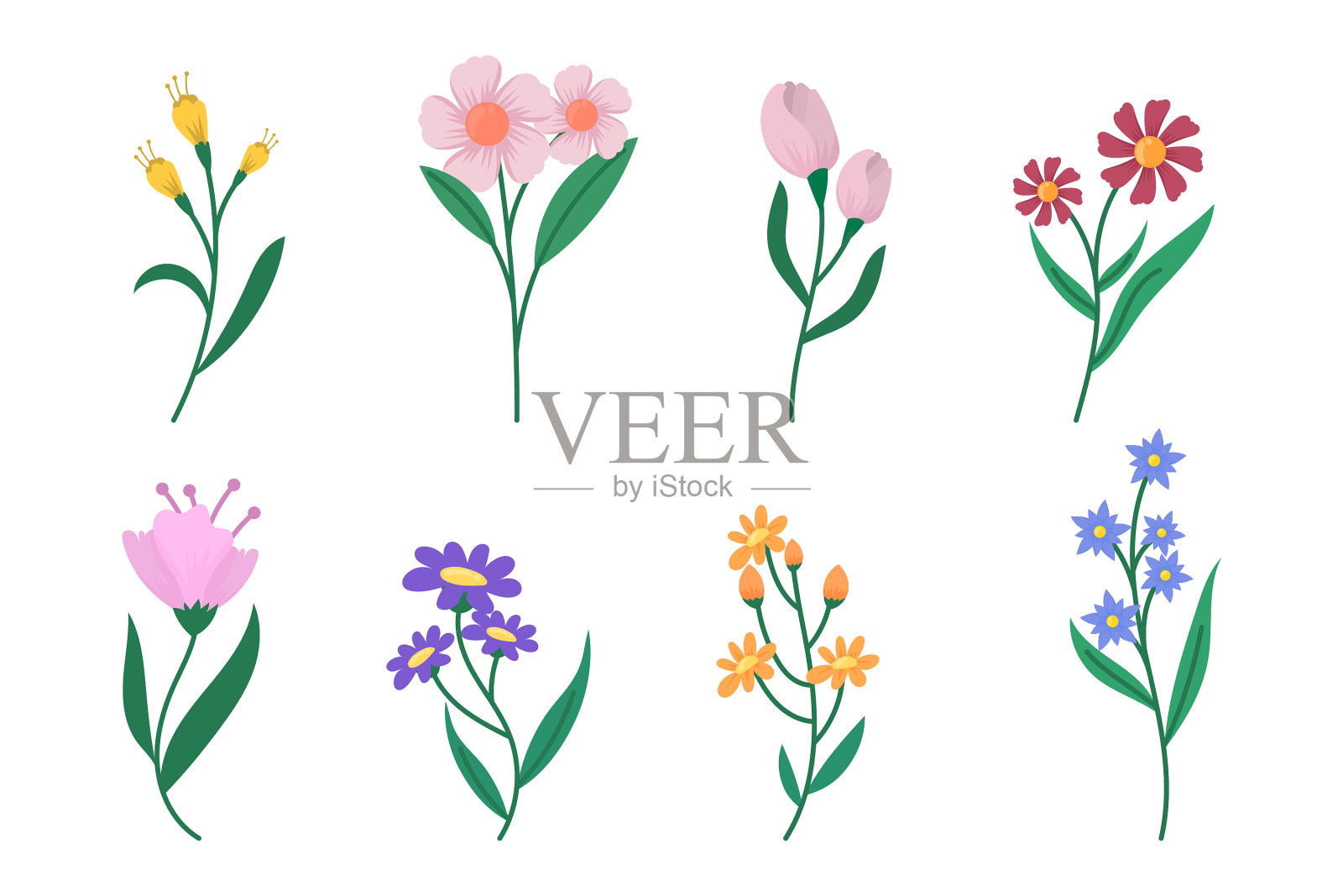 有机扁花收集插画图片素材