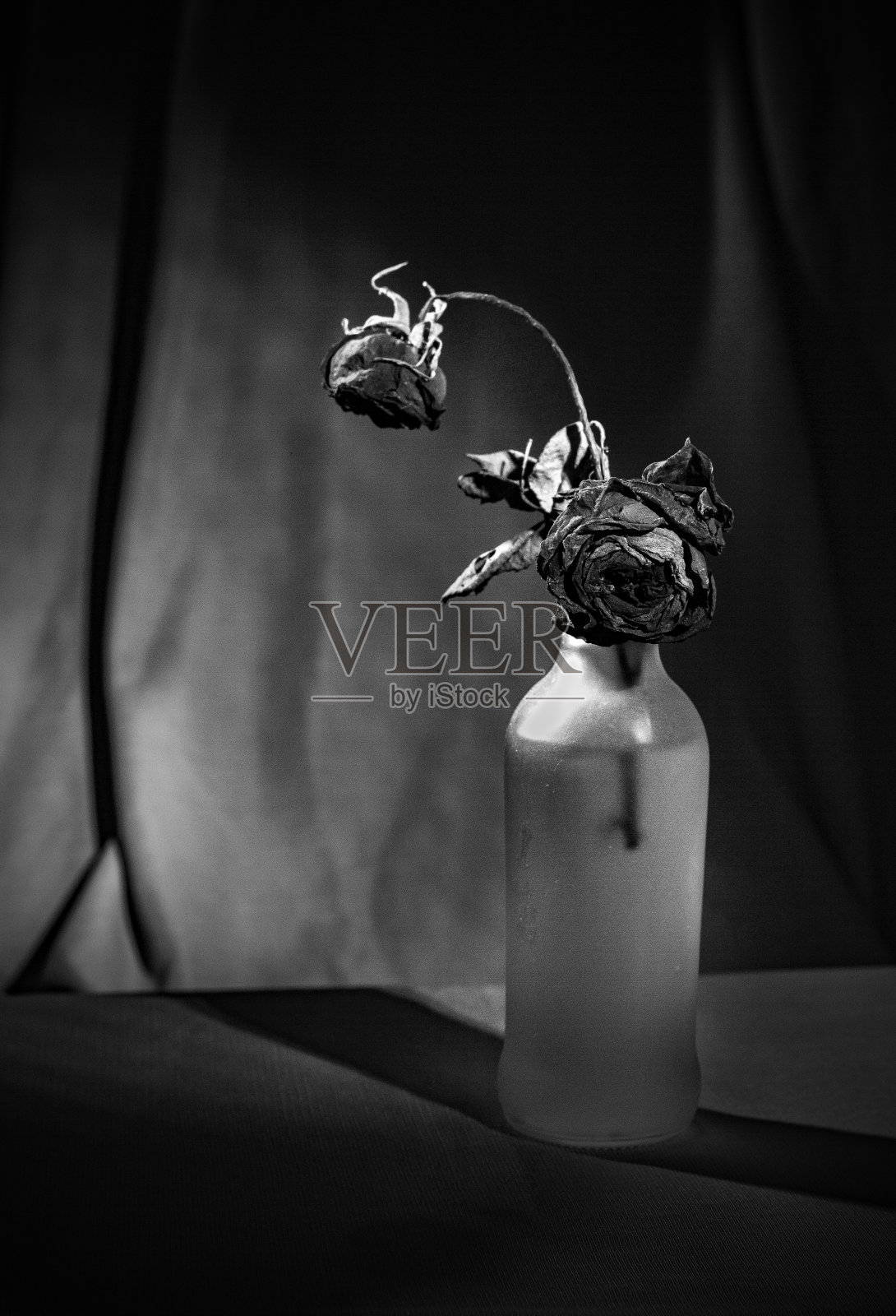 静止生命照片摄影图片