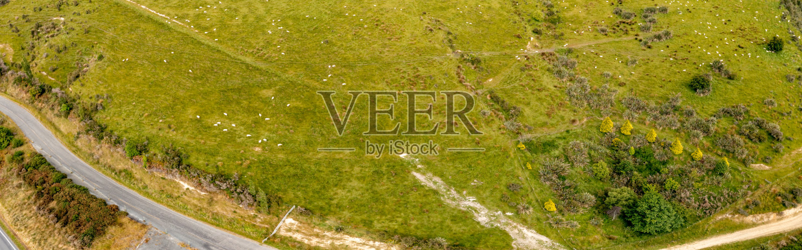 拉姆斯登-迪普顿公路和牧场视图,公路旅行在约瑟夫维尔,南岛,新西兰州公路6号照片摄影图片