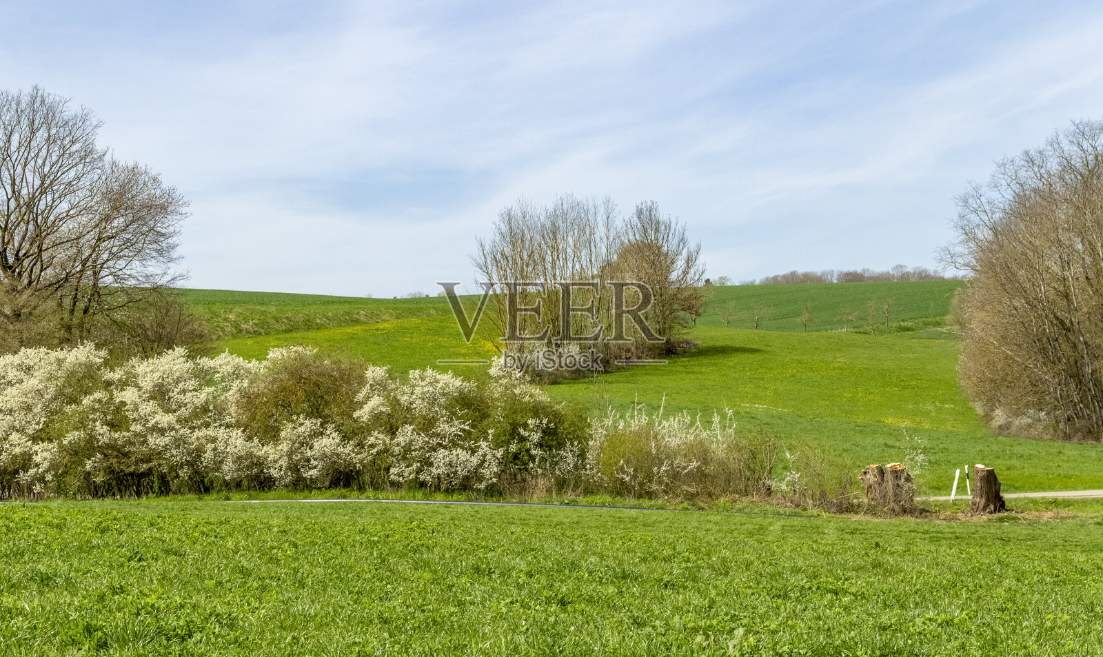 阳光明媚的春光照片摄影图片