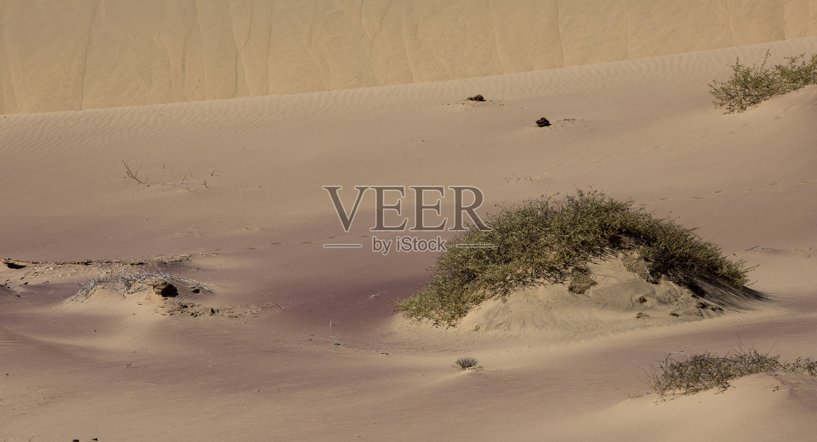 沙漠的颜色照片摄影图片