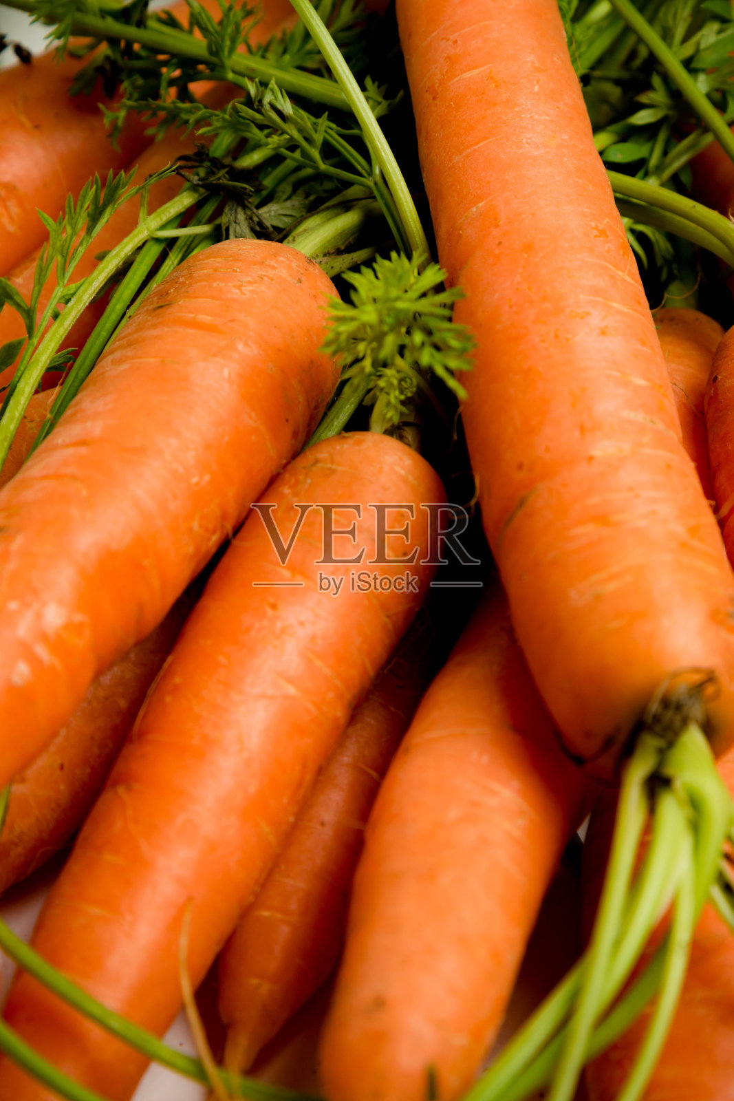 胡萝卜照片摄影图片