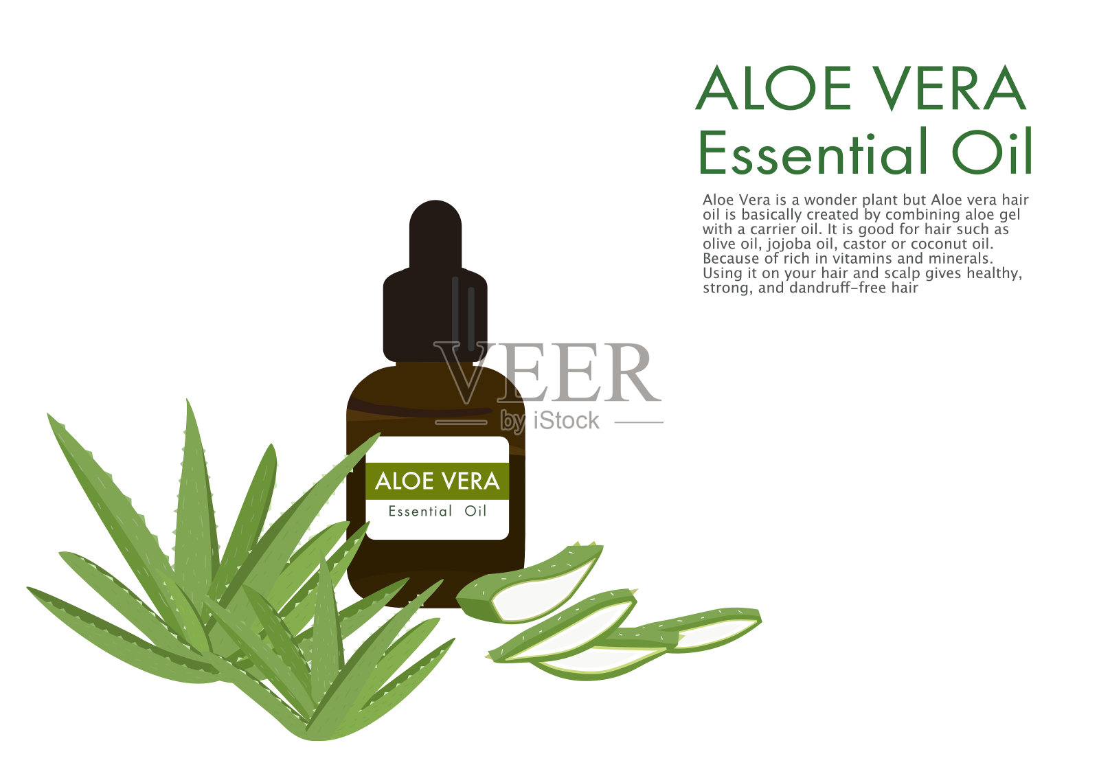 在白色背景上分离的芦荟药草载体ep03插画图片素材