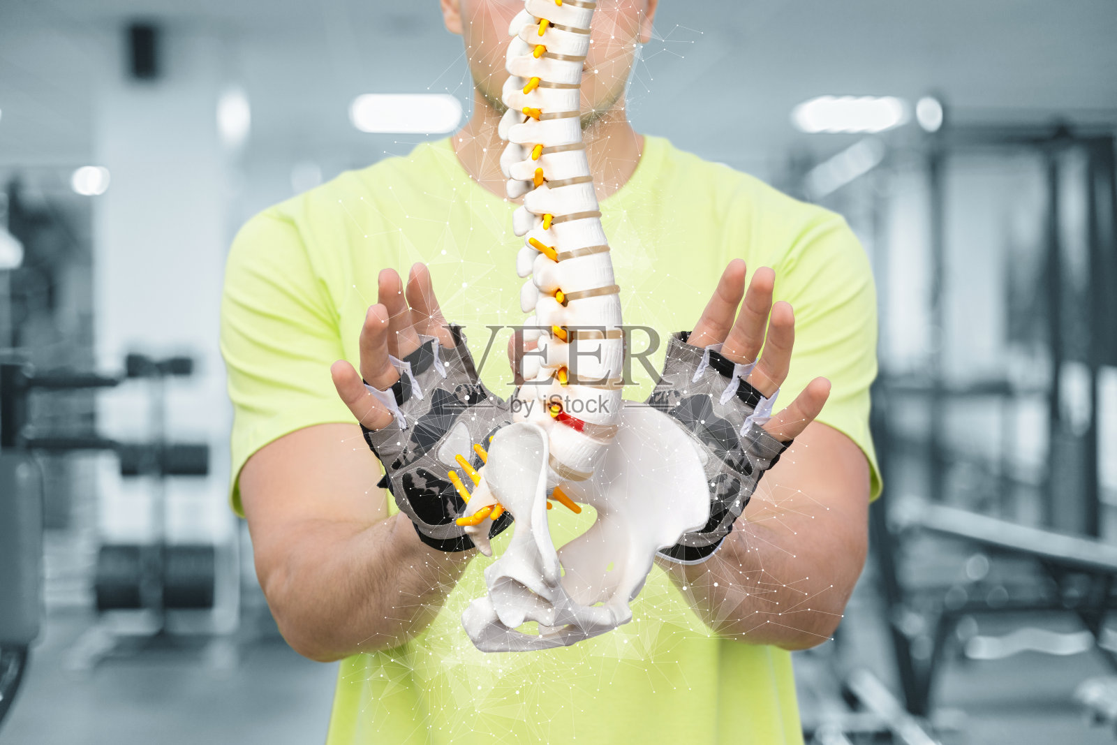 健身教练在健身房模糊的背景上显示脊柱。照片摄影图片