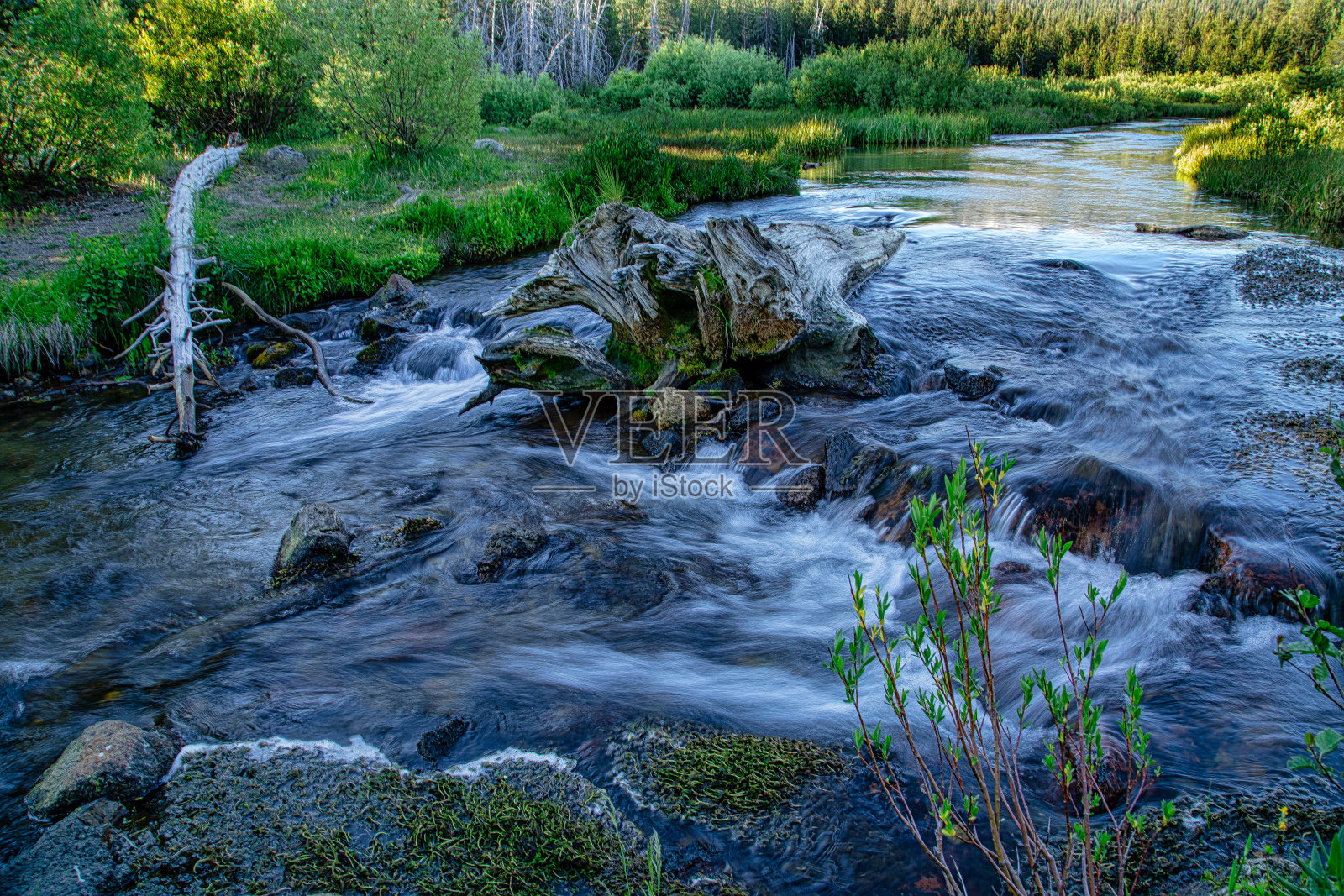 有湖照片摄影图片