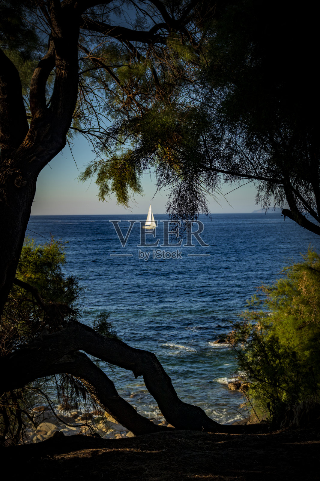 不同的大海外观照片摄影图片