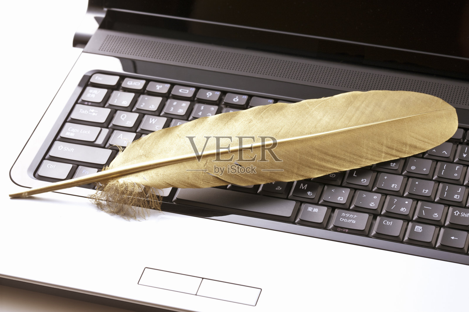 希望之翼照片摄影图片