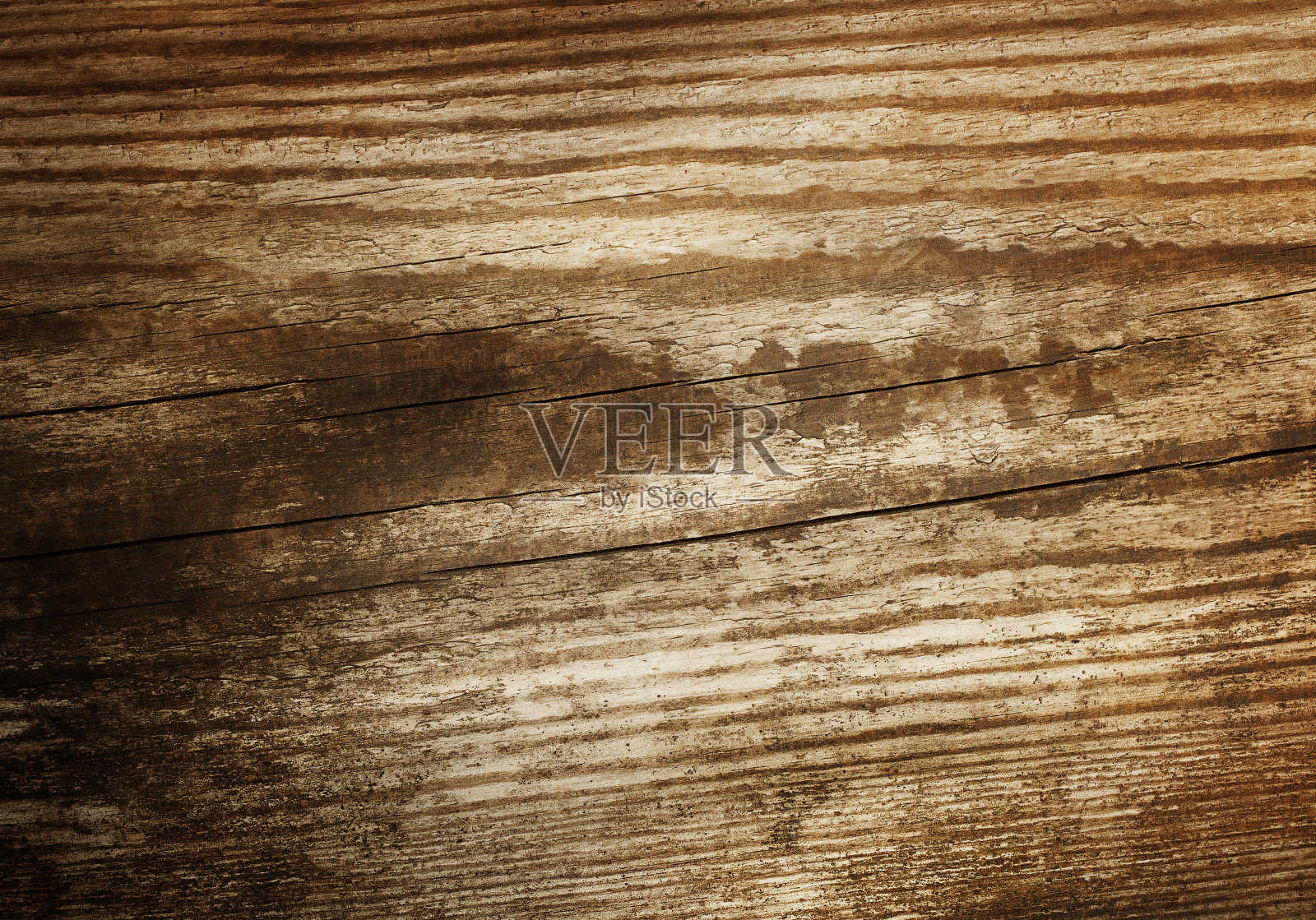 岁的木照片摄影图片