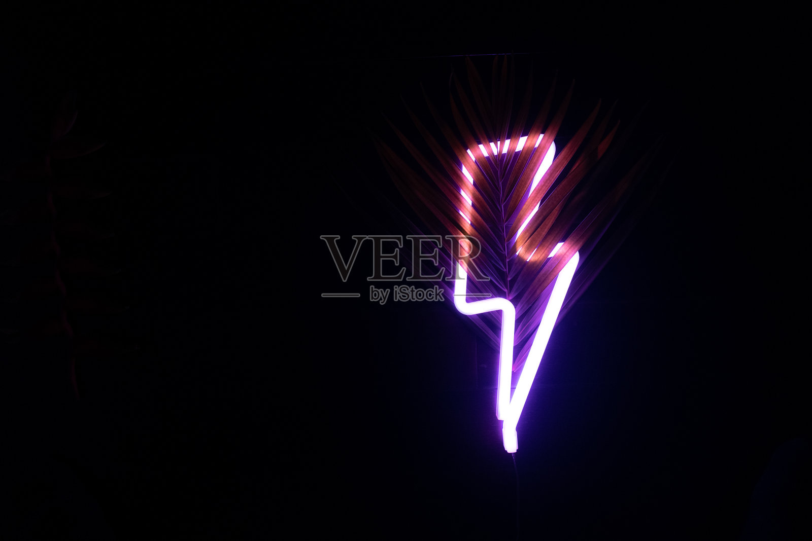 五颜六色的热带棕榈叶上的霓虹闪电,深色的木色背景,夜晚明亮的热带广告照片摄影图片