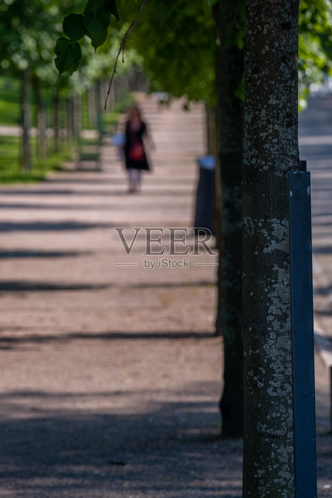 一个树干的特写,在一个公共公园散步。一个模糊的人走在后面。照片摄影图片