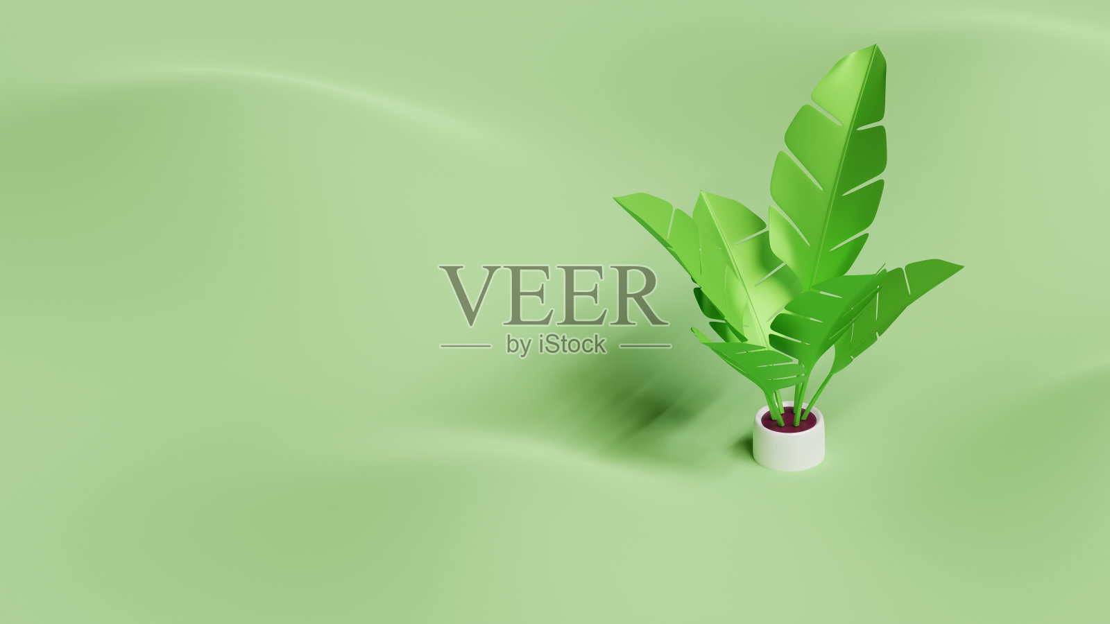 夏季登陆页面模板与香蕉叶植物3D渲染照片摄影图片