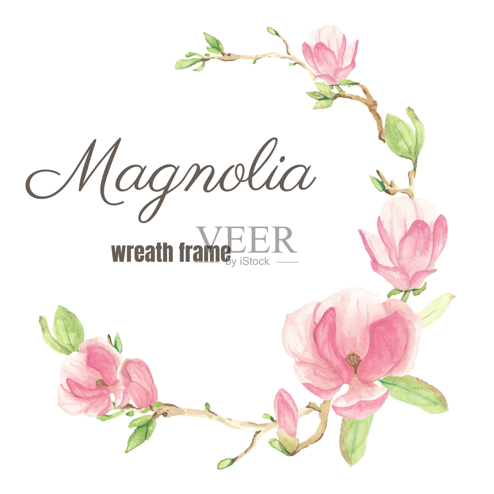 水彩画盛开的粉红色玉兰花和树枝花环框架插画图片素材