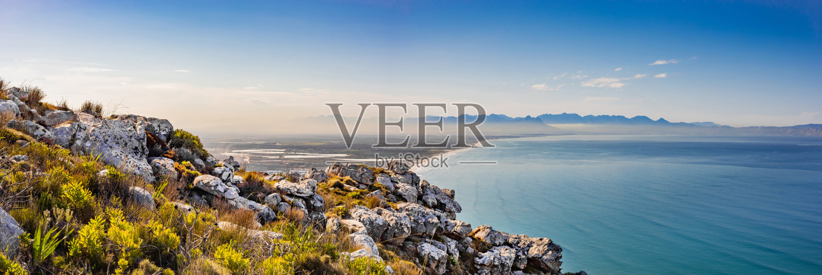 开普敦的沿海山地景观与芬博斯植物照片摄影图片