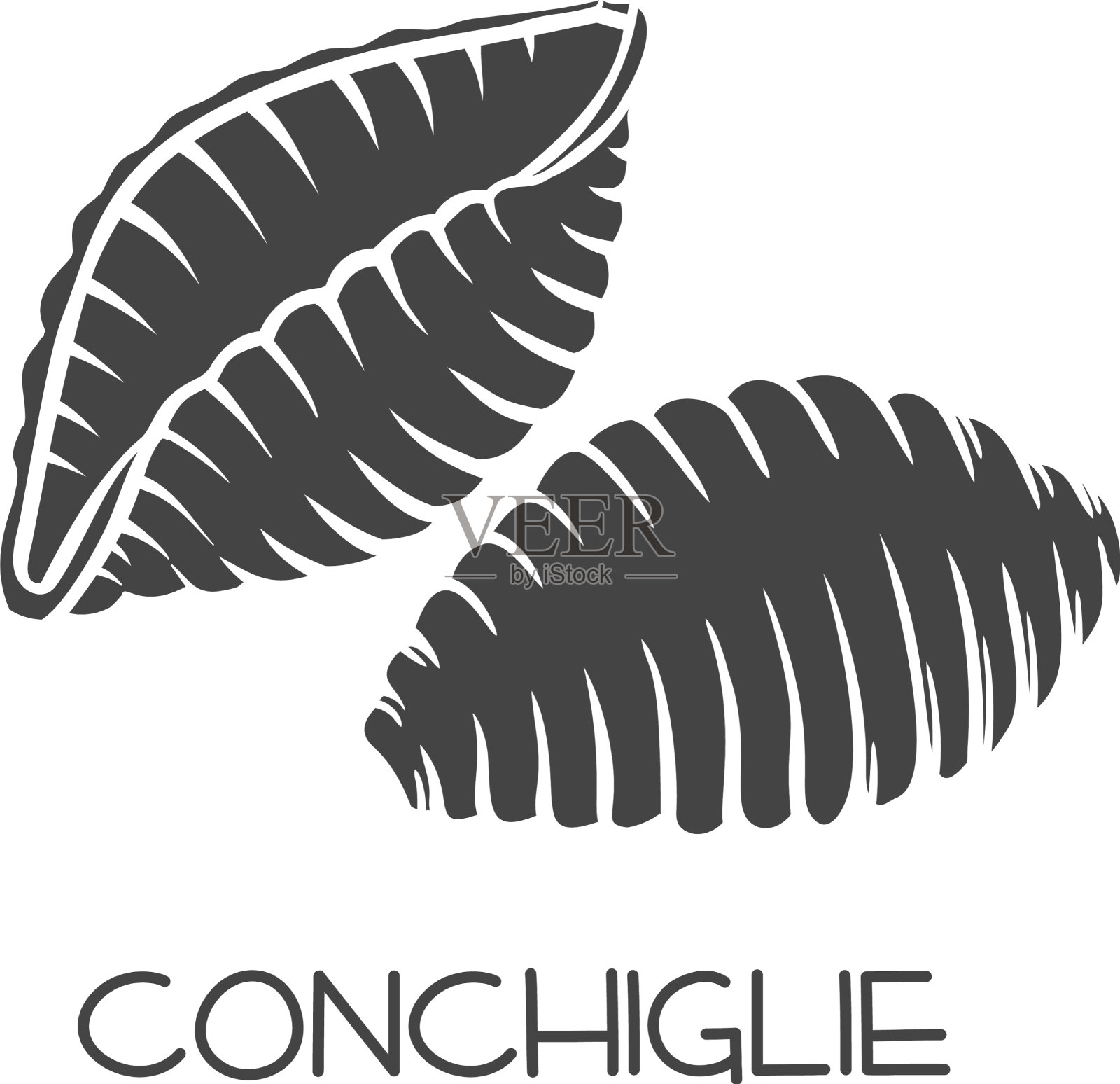 glyph icon贝壳设计元素图片