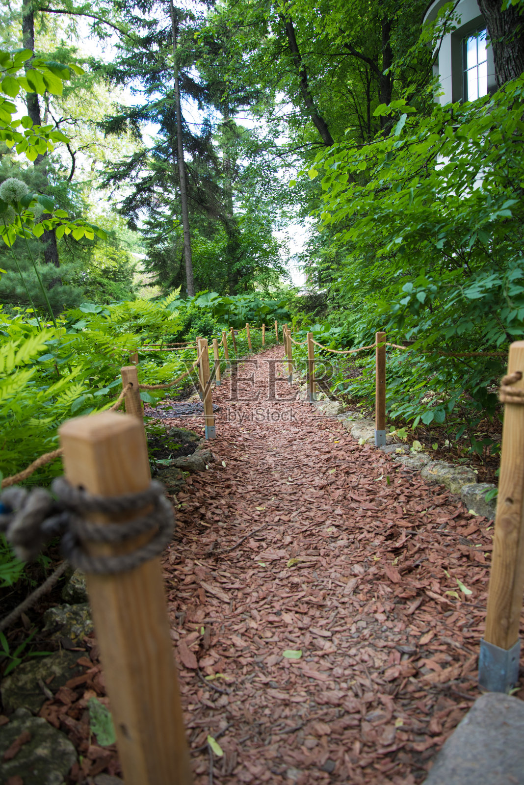 花园里的小路。这条路是用木屑铺成的。舒适的环保之路照片摄影图片