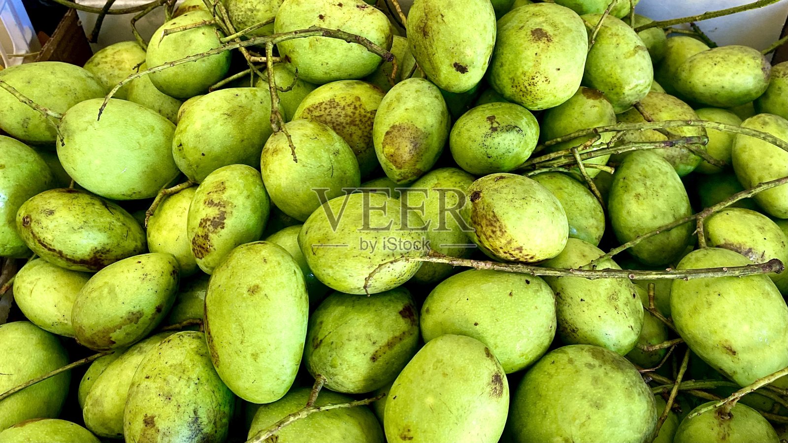 处理照片摄影图片