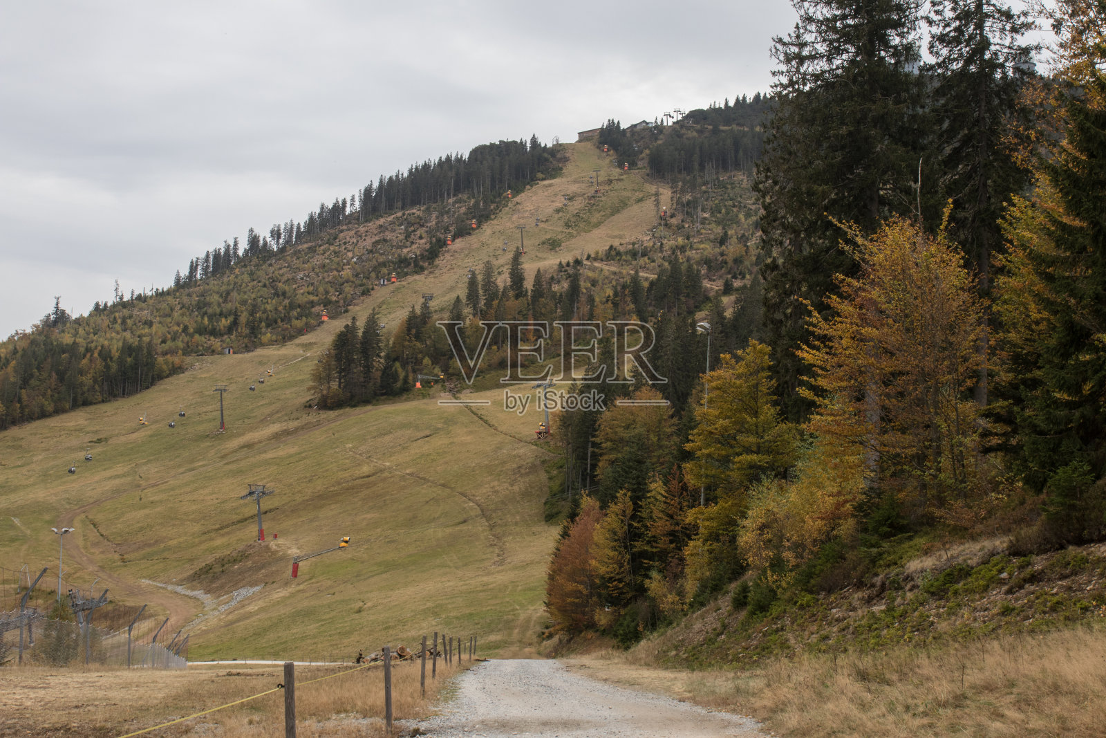 秋天,巴伐利亚的阿伯山等待降雪照片摄影图片