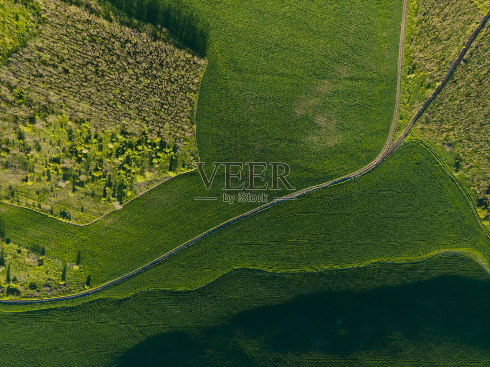 鸟瞰图的绿色夏季森林与绿色的田野在雄伟的日出照片摄影图片