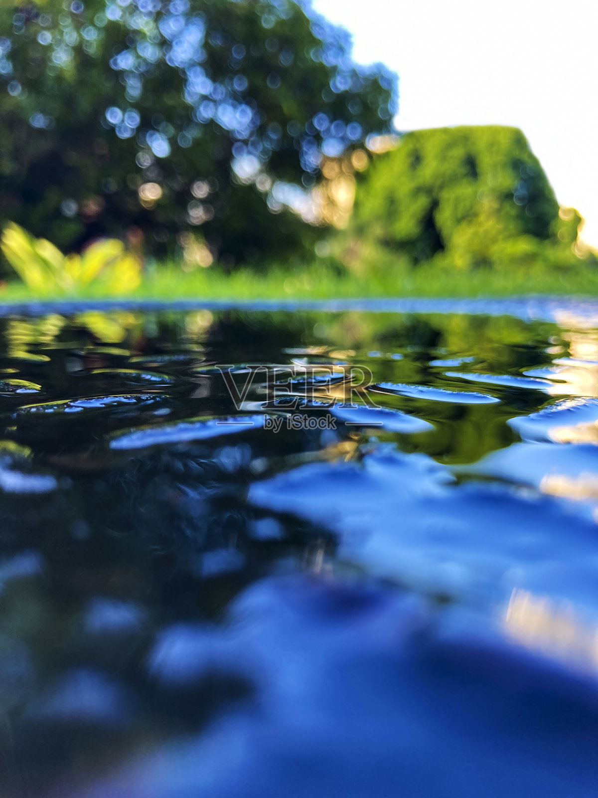 潮湿的表面在花园里和反射照片摄影图片
