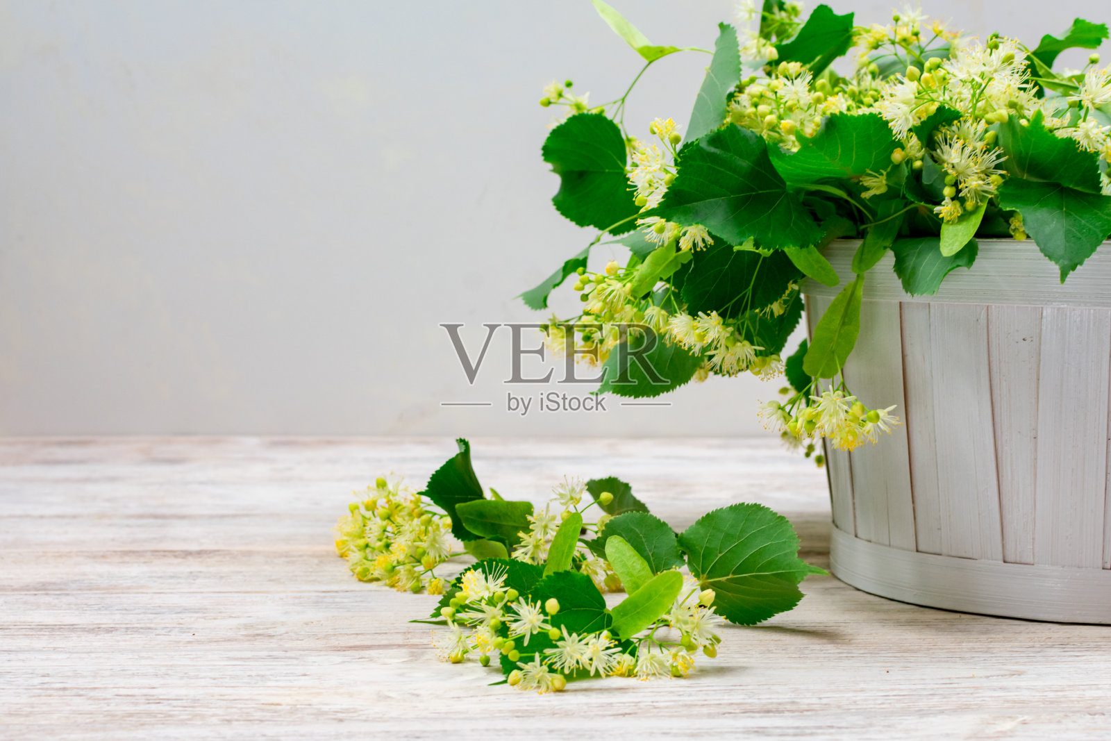 白背景上的白篮子里的椴树花。椴树花茶。照片摄影图片