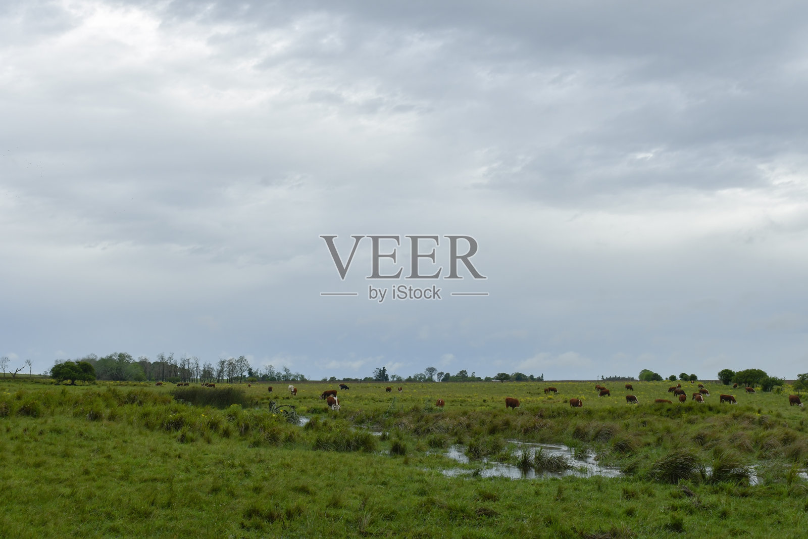 典型的乌拉圭景观照片摄影图片