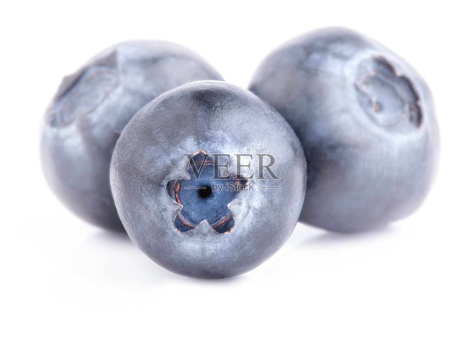 白色背景上孤立的蓝莓照片摄影图片
