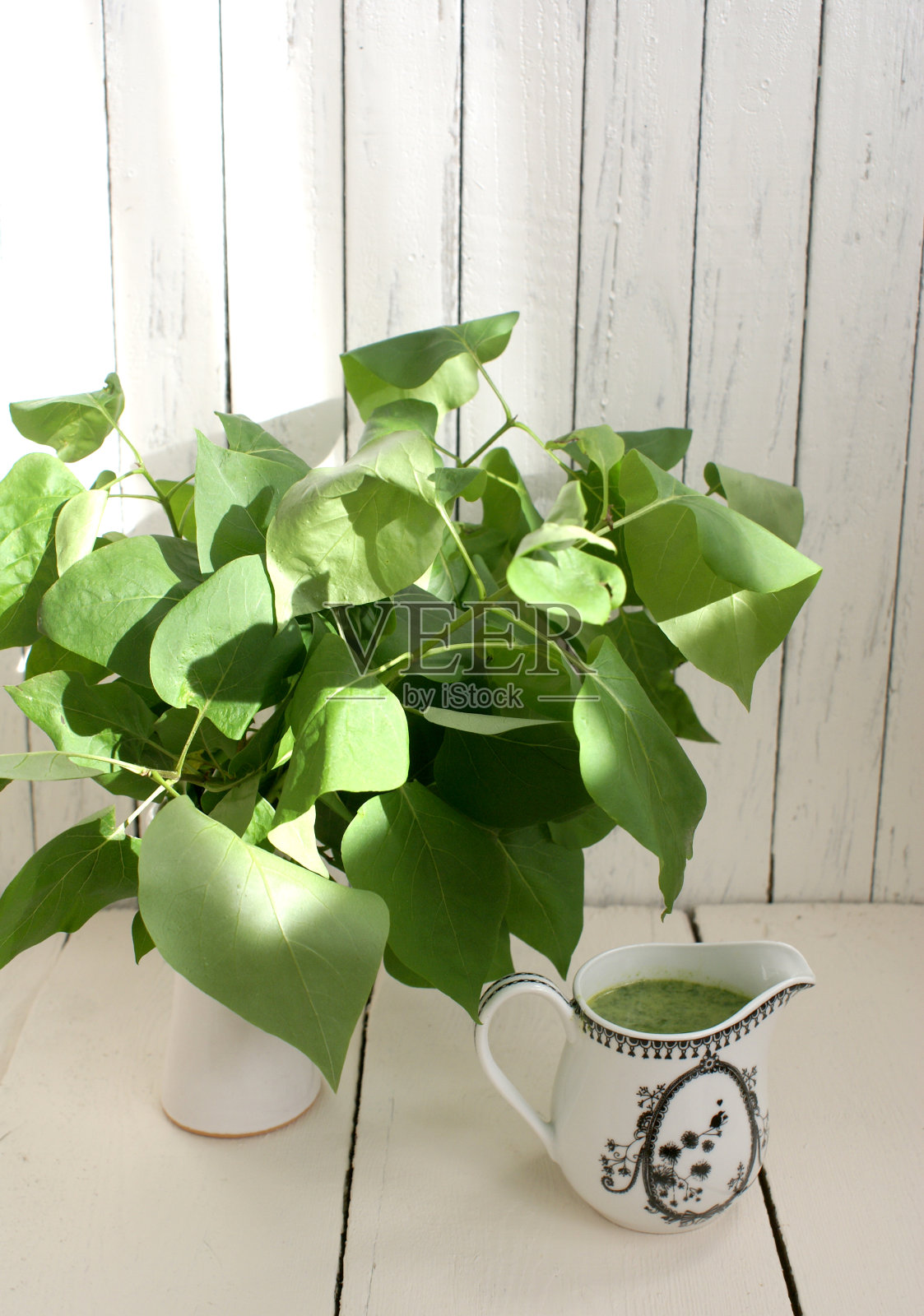 菠菜酱照片摄影图片