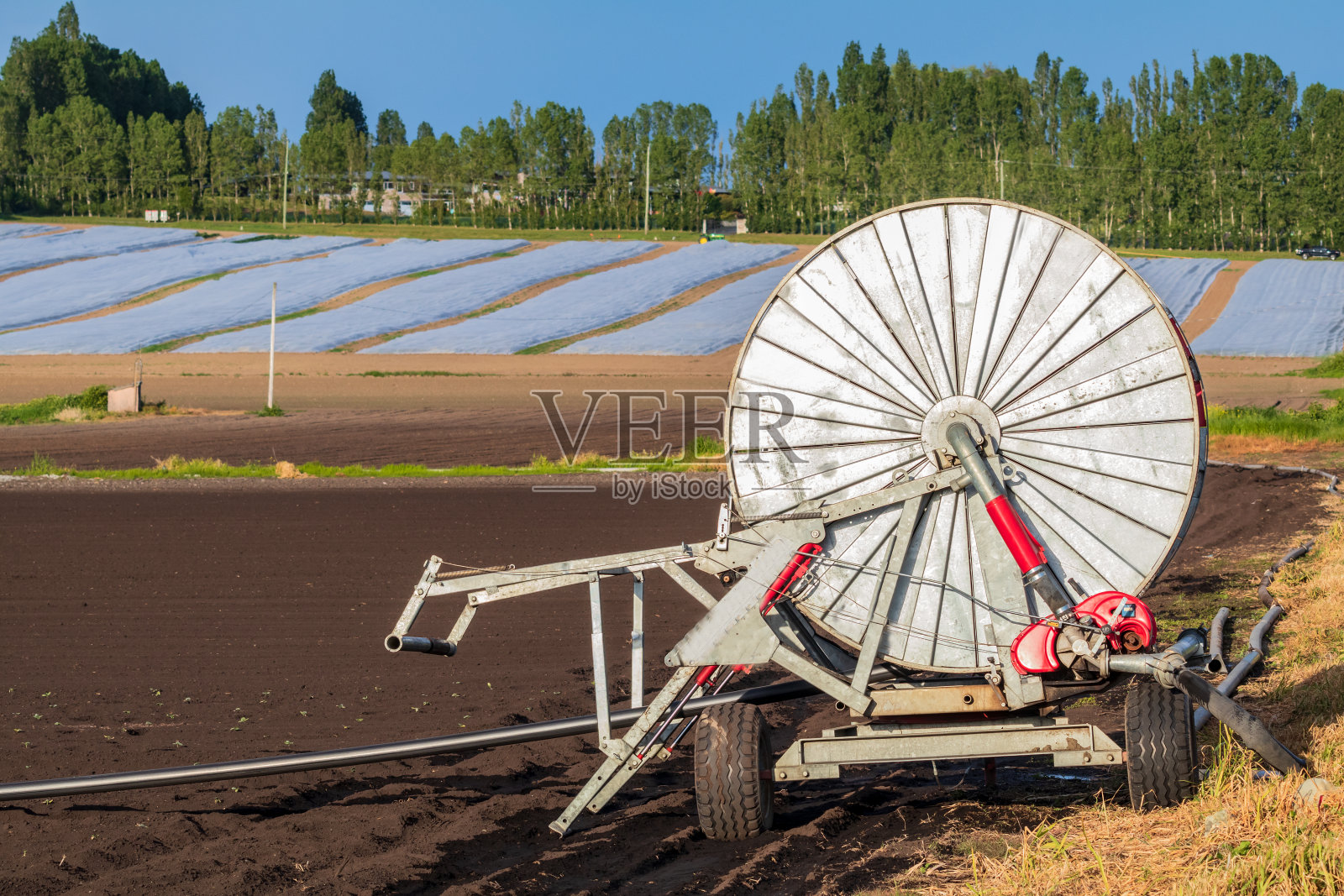 温哥华岛农田照片摄影图片