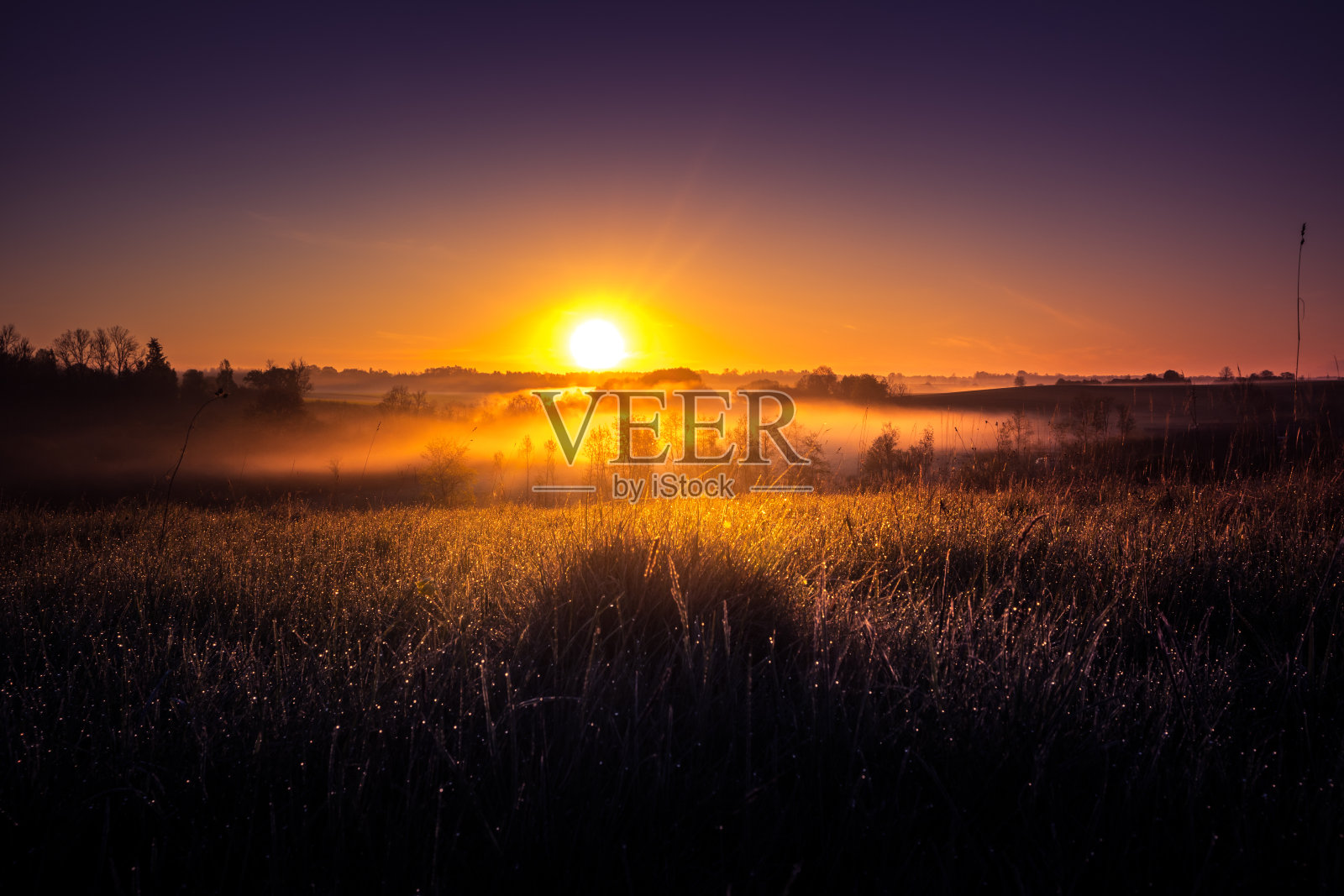 这是一个美丽的风景,在一个有雾的早晨在夏天。照片摄影图片