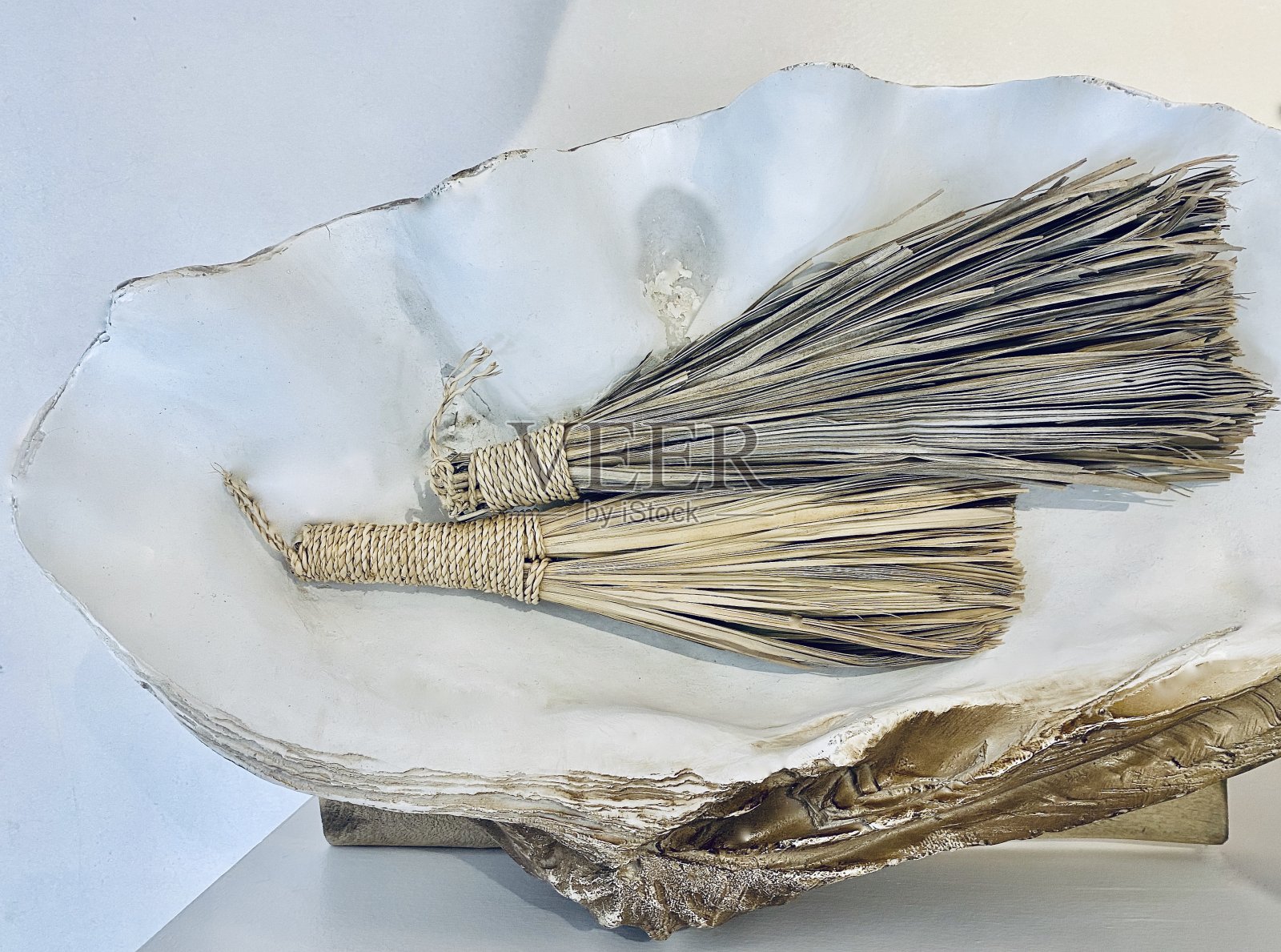 手打扫帚在大蛤壳照片摄影图片