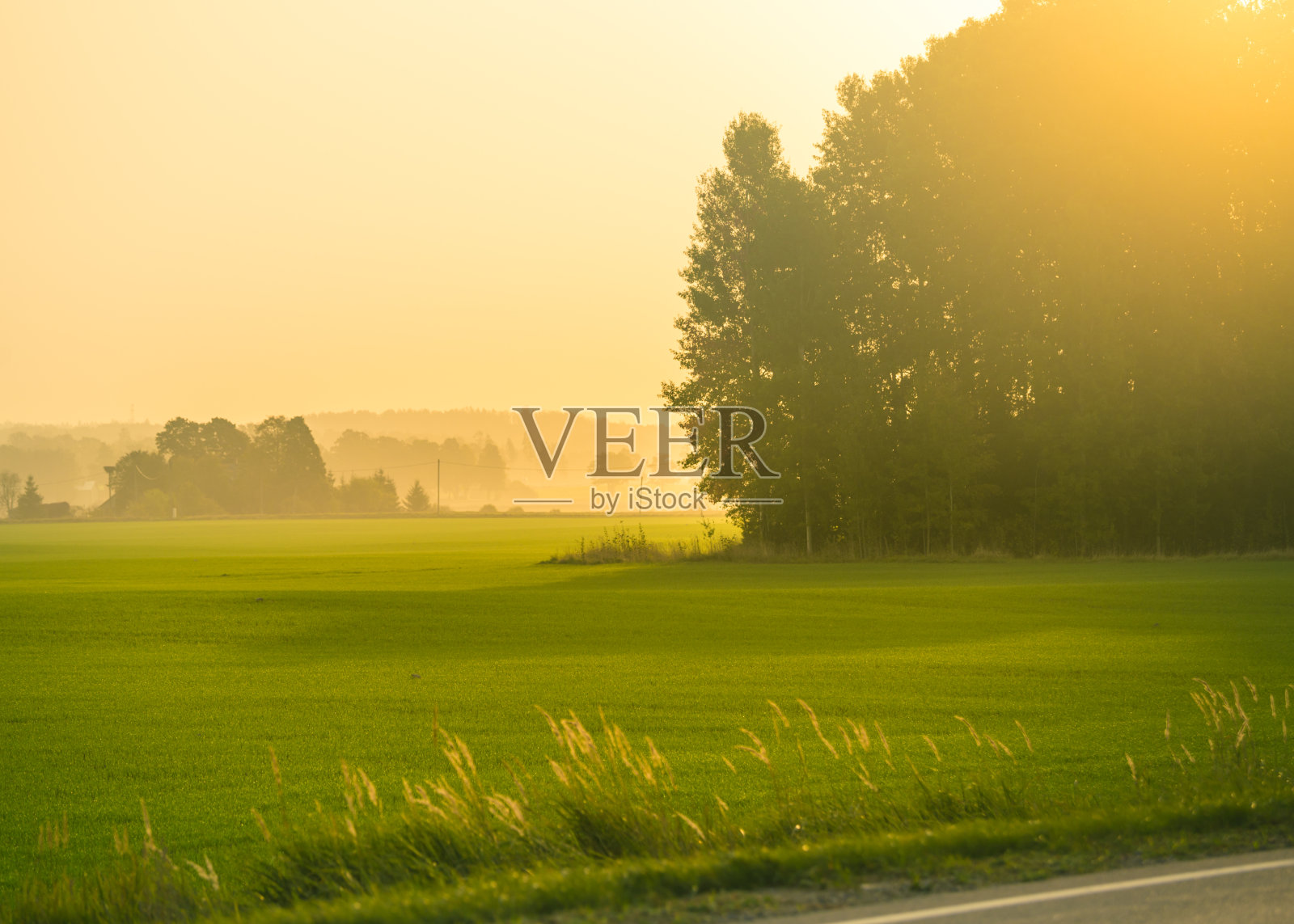 这是一幅美丽的日出美景,覆盖着薄雾缭绕的草地。照片摄影图片