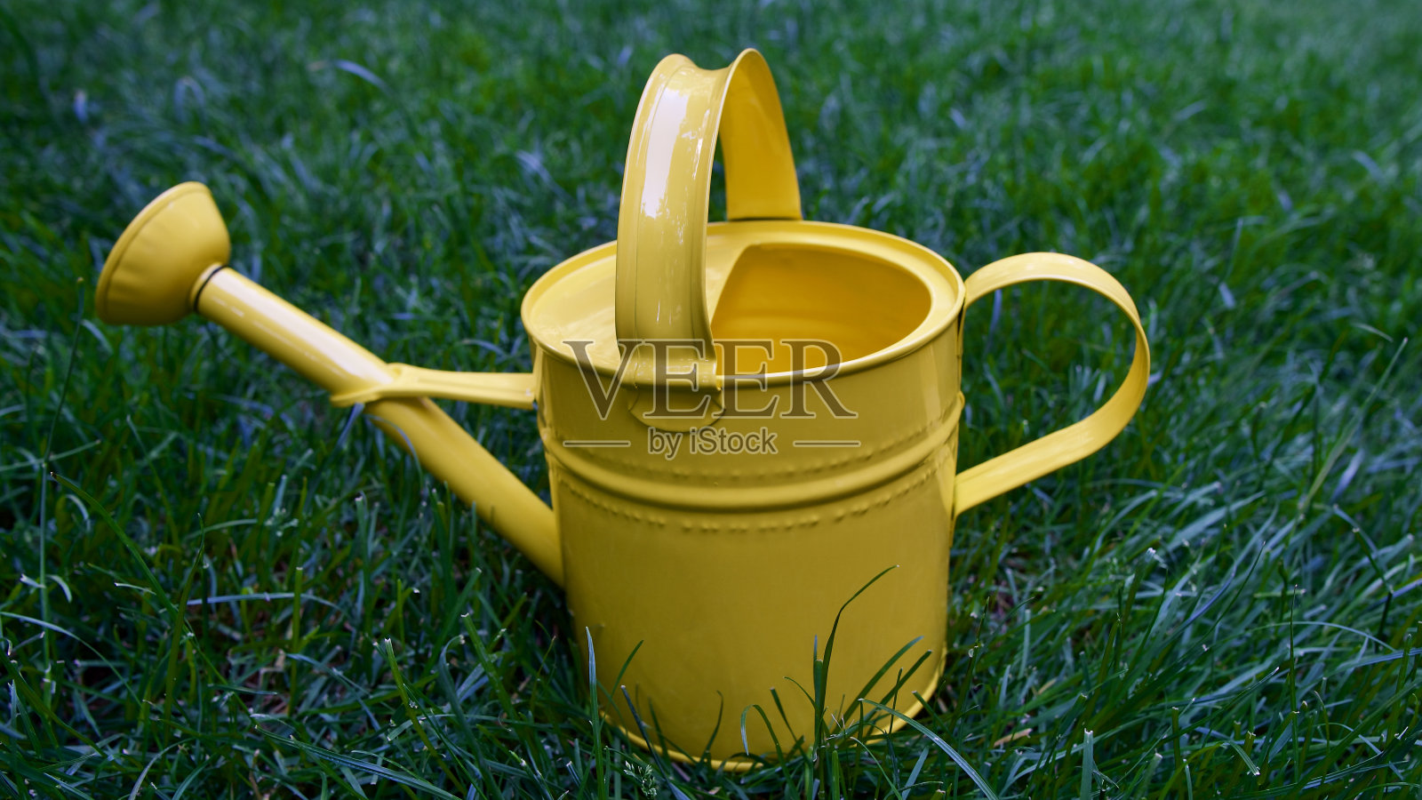 花园浇水。照片摄影图片