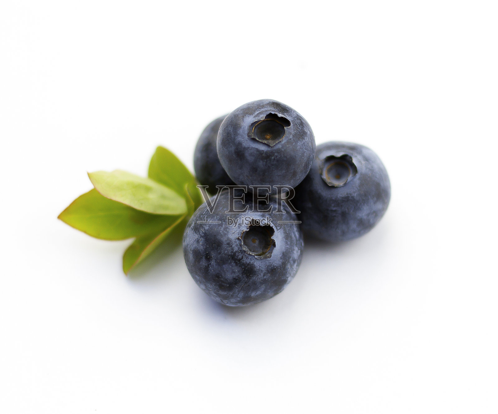 白色背景上的蓝莓。照片摄影图片