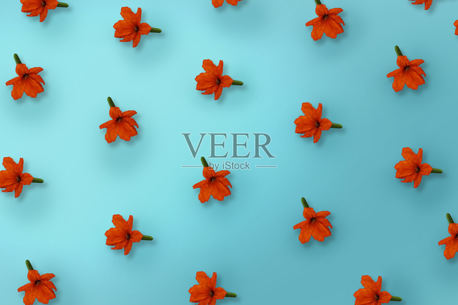 橙色的心兰花图案在蓝色的背景照片摄影图片