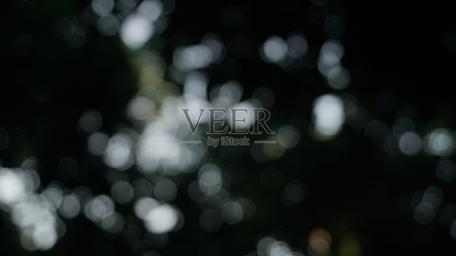 太阳透过树叶照出的散焦照片照片摄影图片